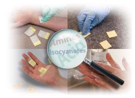 Aromatic Amine Test Kit