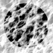 MCE Filter 47mm 0.45um wo/Sup Pad, 100pcs