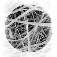 Tissuquartz Filter 37mm 0.4mm Thick, 25 pcs