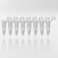 PCR tubes 0.2 ml natural PP strips w/8 tubes individually attached flat caps PCR ready 20.000G