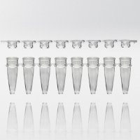 PCR tubes 0.2 ml natural PP strips w/8 tubes incl. flat caps as strips PCR ready 6.000G