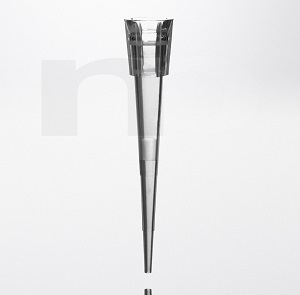 Filterspids PP 10 µl kort Steril R Bulk RNase DNase Pyrogen og DNA fri