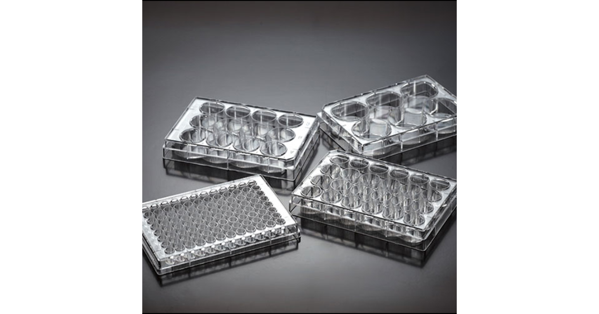 Tissue Culture Plate 48 wells 1.55 ml flat 0.7 cm2 treated with lid ...