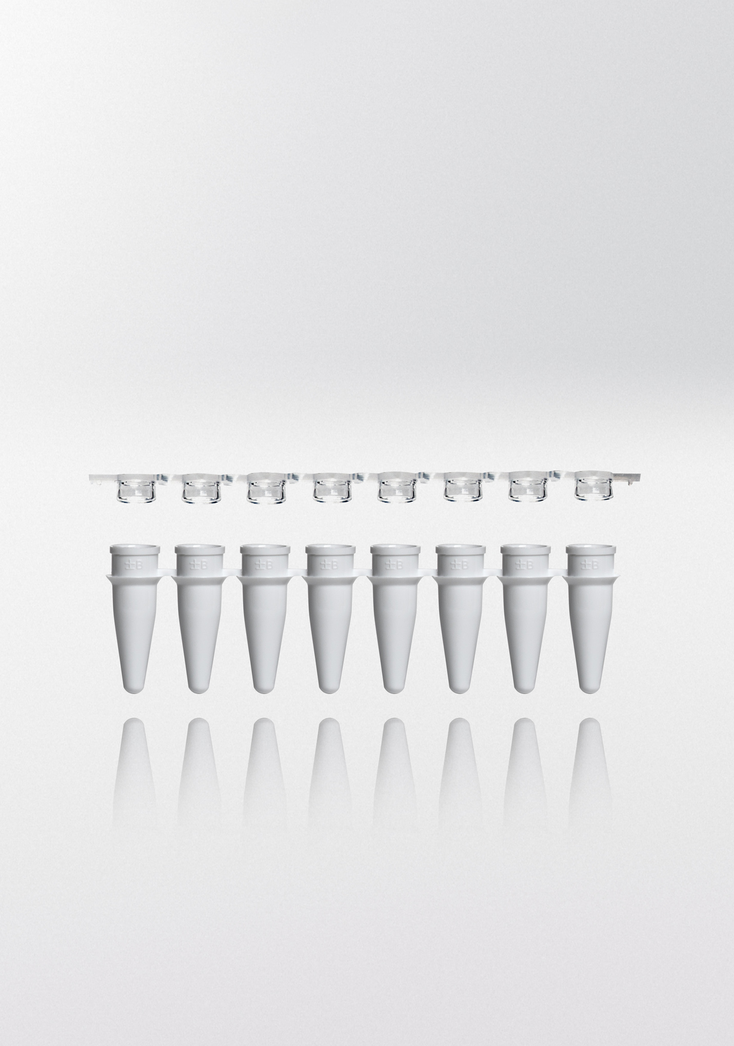 PCR tubes 0.2 ml white PP strips w/8 tubes incl. flat caps as strips PCR ready 6.000G