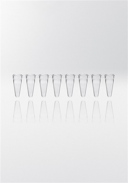 PCR tubes 0.1 ml natural PP strips w/8 tubes without caps PCR ready 6.000G low profile