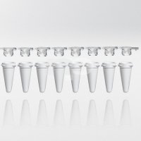 PCR tubes 0.1 ml white PP strips w/8 tubes incl. flat caps as strips PCR ready 6.000G low profile