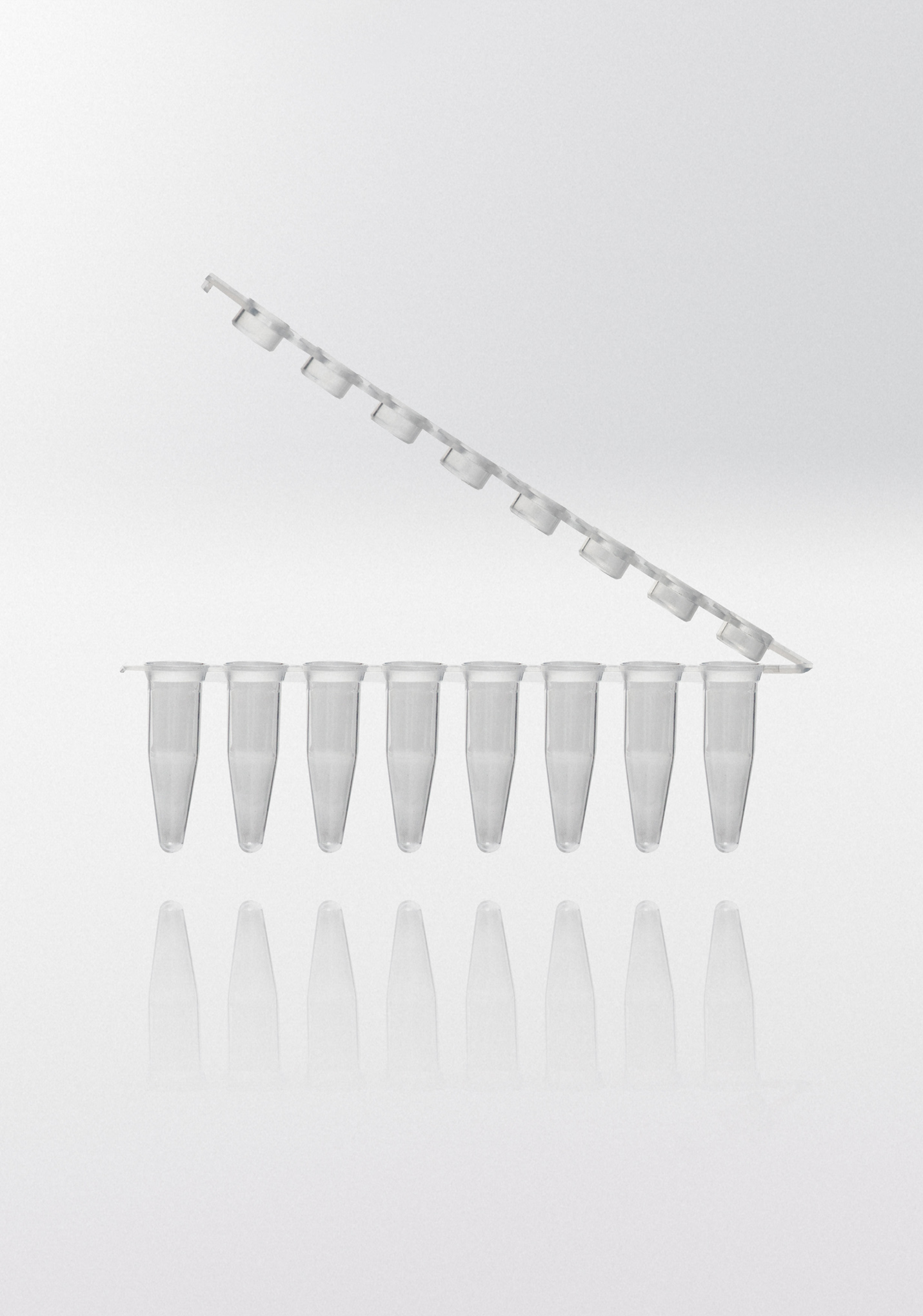PCR rør 0.2 ml natur PP strips m/8 rør hængslede flade låg som strip PCR ready 6.000G