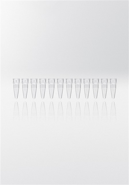 PCR tubes 0.2 ml natural PP strips w/12 tubes without caps PCR ready 6.000G