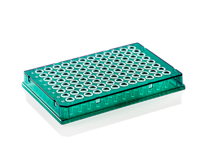 PCR plade X-Frame 96 brønde 0.1 ml lav profil fuld skørt grøn PP