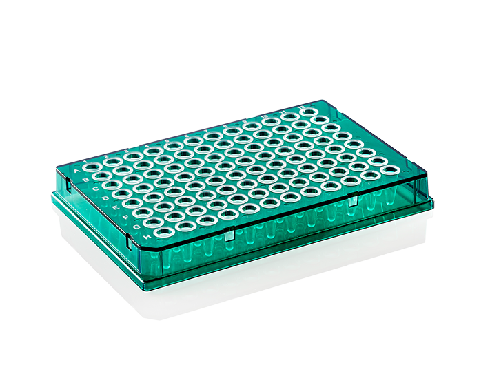 PCR plade X-Frame 96 brønde 0.1 ml lav profil fuld skørt grøn PP