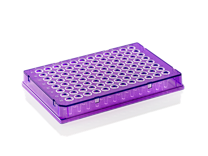 PCR plade X-Frame 96 brønde 0.1 ml lav profil fuld skørt lilla PP