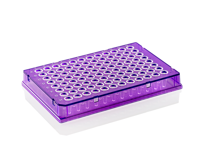 PCR plade X-Frame 96 brønde 0.1 ml lav profil fuld skørt lilla PP