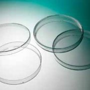 Petri dish PS 90 x 16.2 mm Sterile R without vents. 24 bags of 20 pcs.