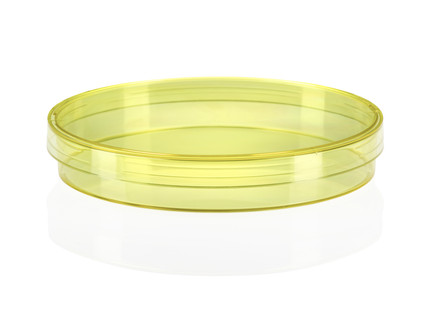 Petri dish PS 90 x 16.2 mm, with 3 vents, yellow, 24x20pcs