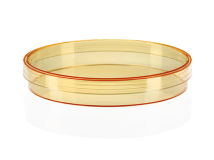 Petri dish PS 90 x 16.2 mm, with 3 vents, orange, 24x20pcs