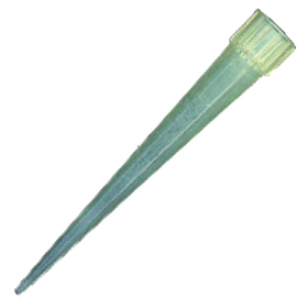 p78-1-d