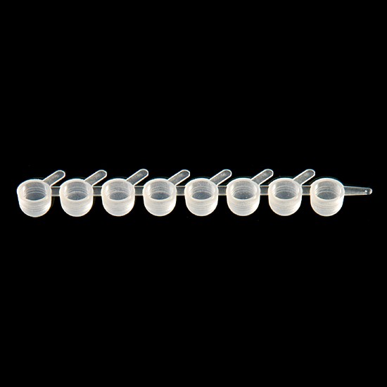 Strips with 8 caps PP for tube no. 409009 and 409010 DNase RNase and DNA free