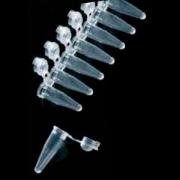 PCR rør 0.2 ml strips á 8 stk natur m/kuplet låg RNAse DNAse og Pyrogen fri