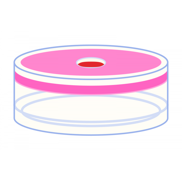 Snap cap for N20 vial-PE Rubber/TEF 1.3 mm septum