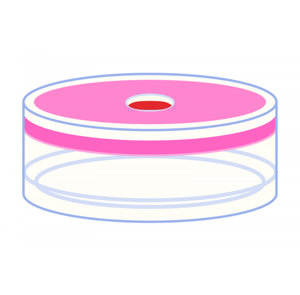 Snap cap for N20 vial-PE Rubber/TEF 1.3 mm septum