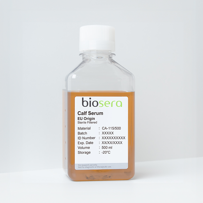 Calf Serum - 50ml