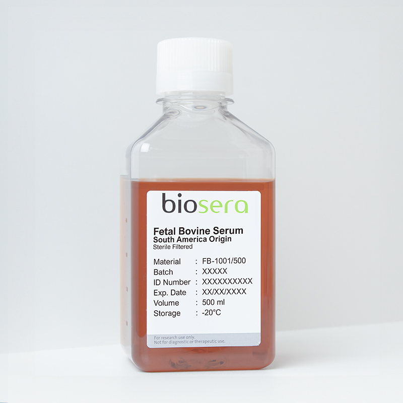Fetal Bovine Serum (South America) - 100ml