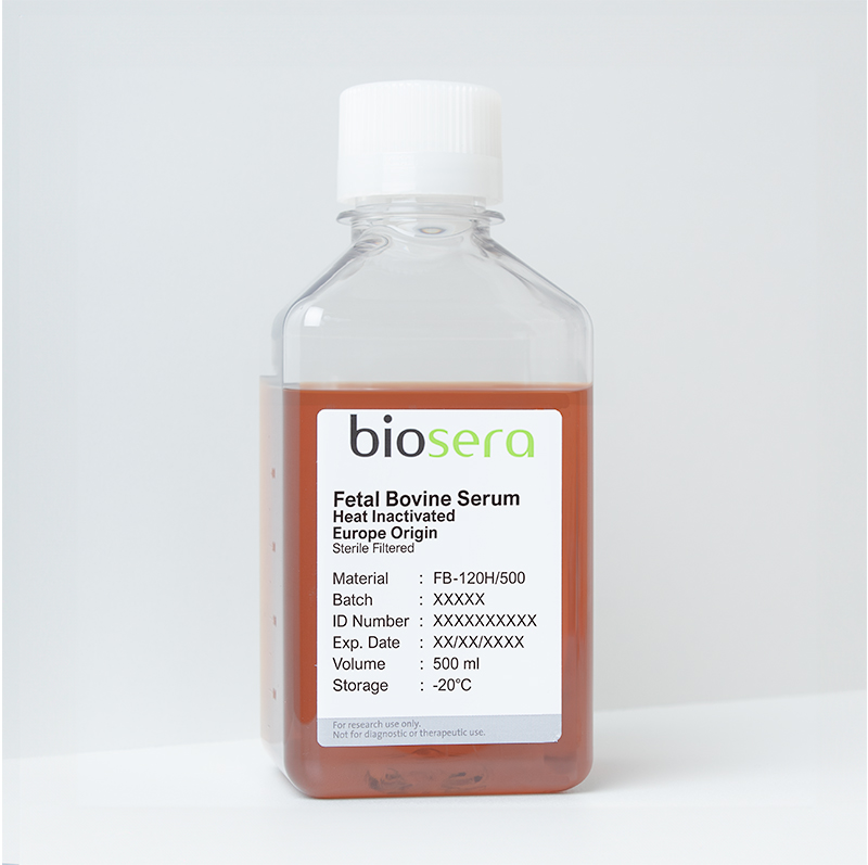 Fetal Bovine Serum (EU Origin). Heat Inactivated - 500ml