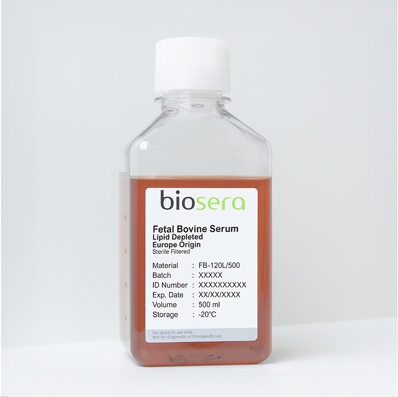 Fetal Bovine Serum (EU Origin). Lipid Depleted - 100ml