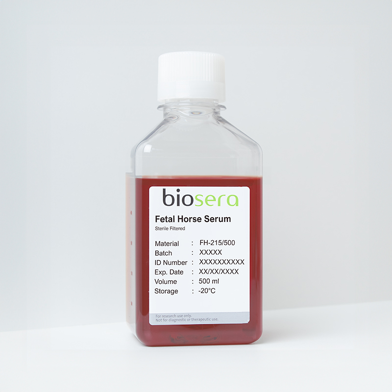 Fetal Horse Serum - 500ml
