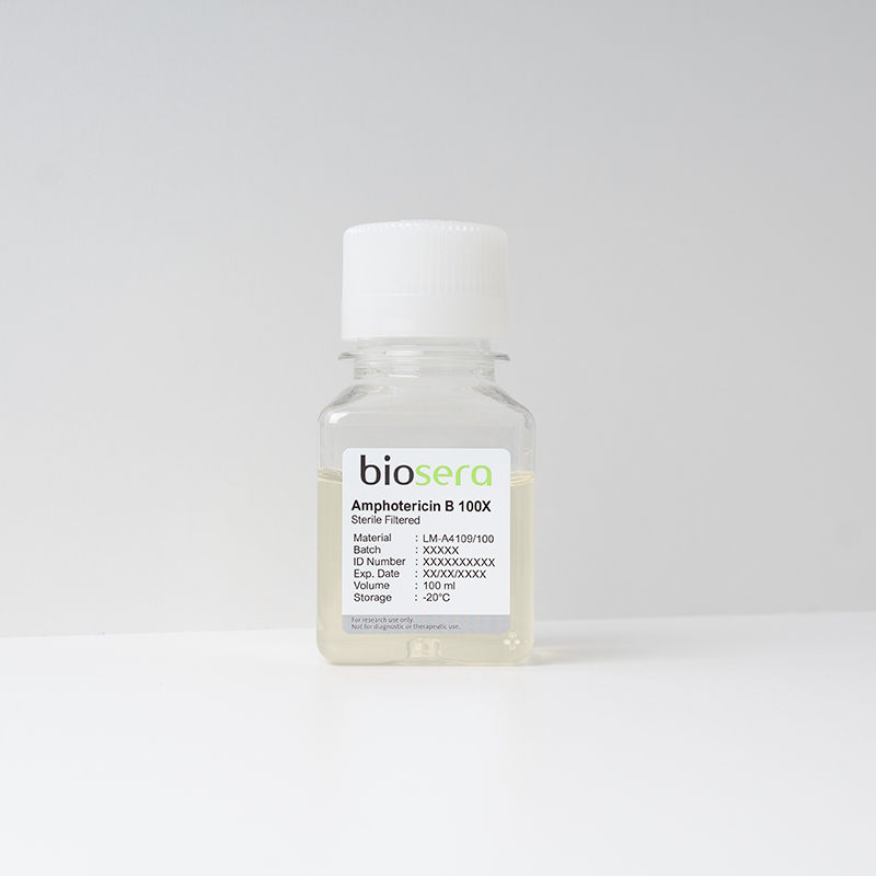 Amphotericin B 100X - 20ml