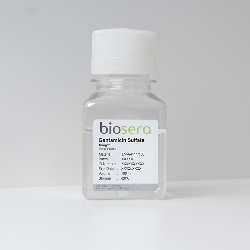 Gentamicin Sulfate 10 mg/ml - 100ml