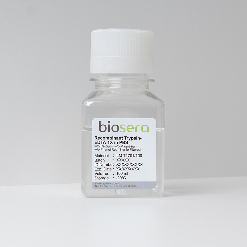 Recombinant Trypsin-EDTA 1X in PBS w/o Calcium w/o Magnesium w/o Phenol Red - 100ml