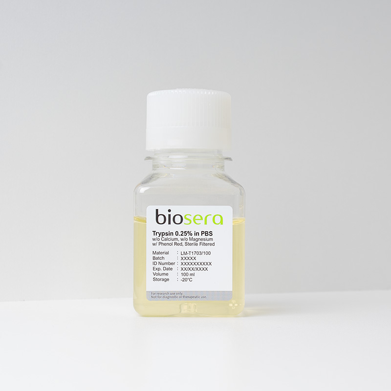 Trypsin 0.25 % in PBS w/o Calcium w/o Magnesium w/ Phenol red - 100ml