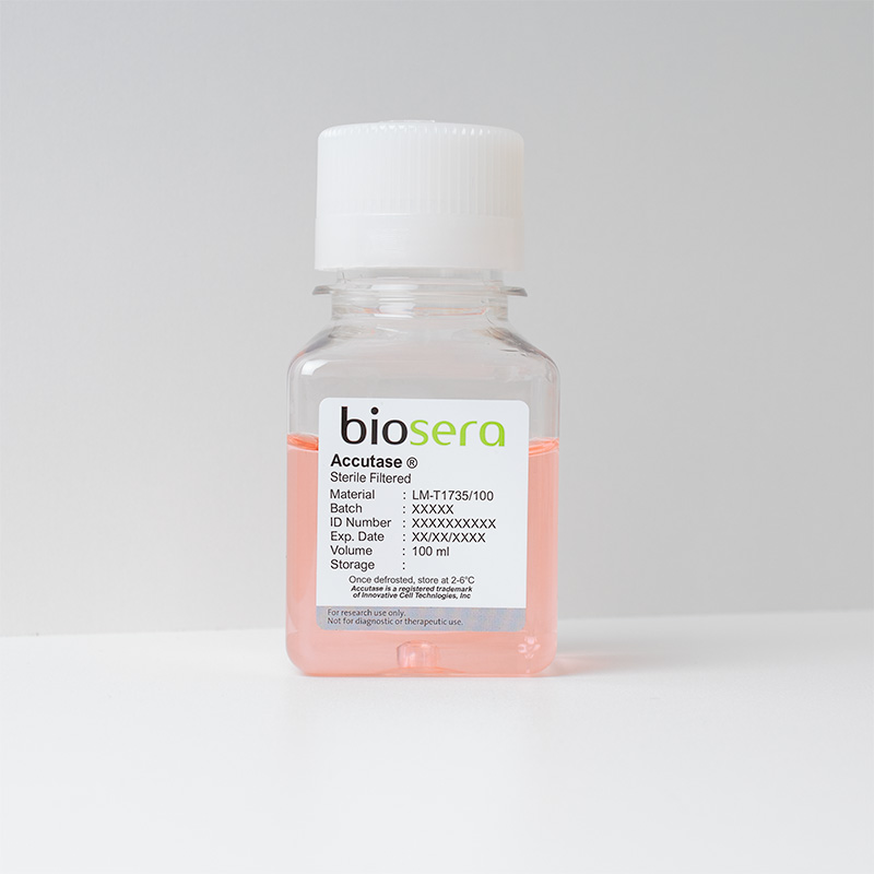 Accutase - 100ml