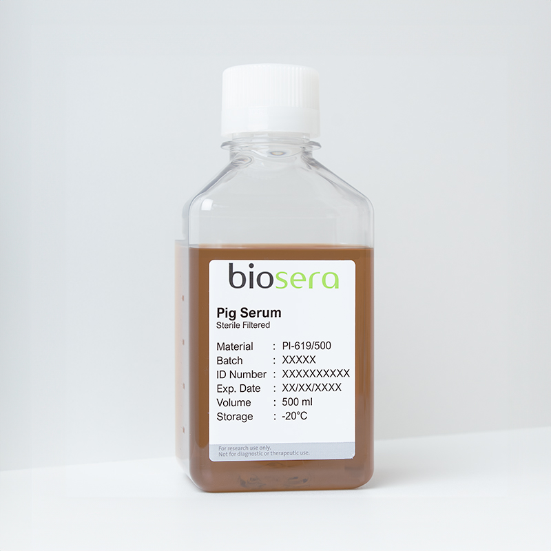 Pig Serum - 100ml