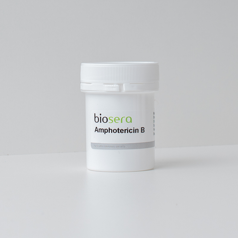 Amphotericin B - 250mg