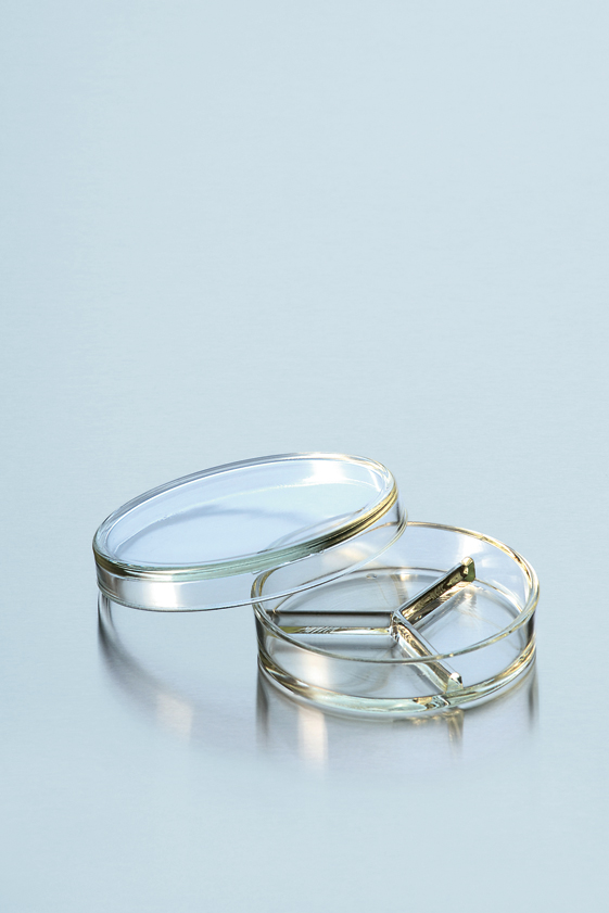 DURAN Petriskål, 3-delt, 100x20mm, 10stk