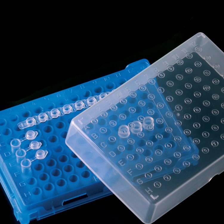 PCR rack PP - blue