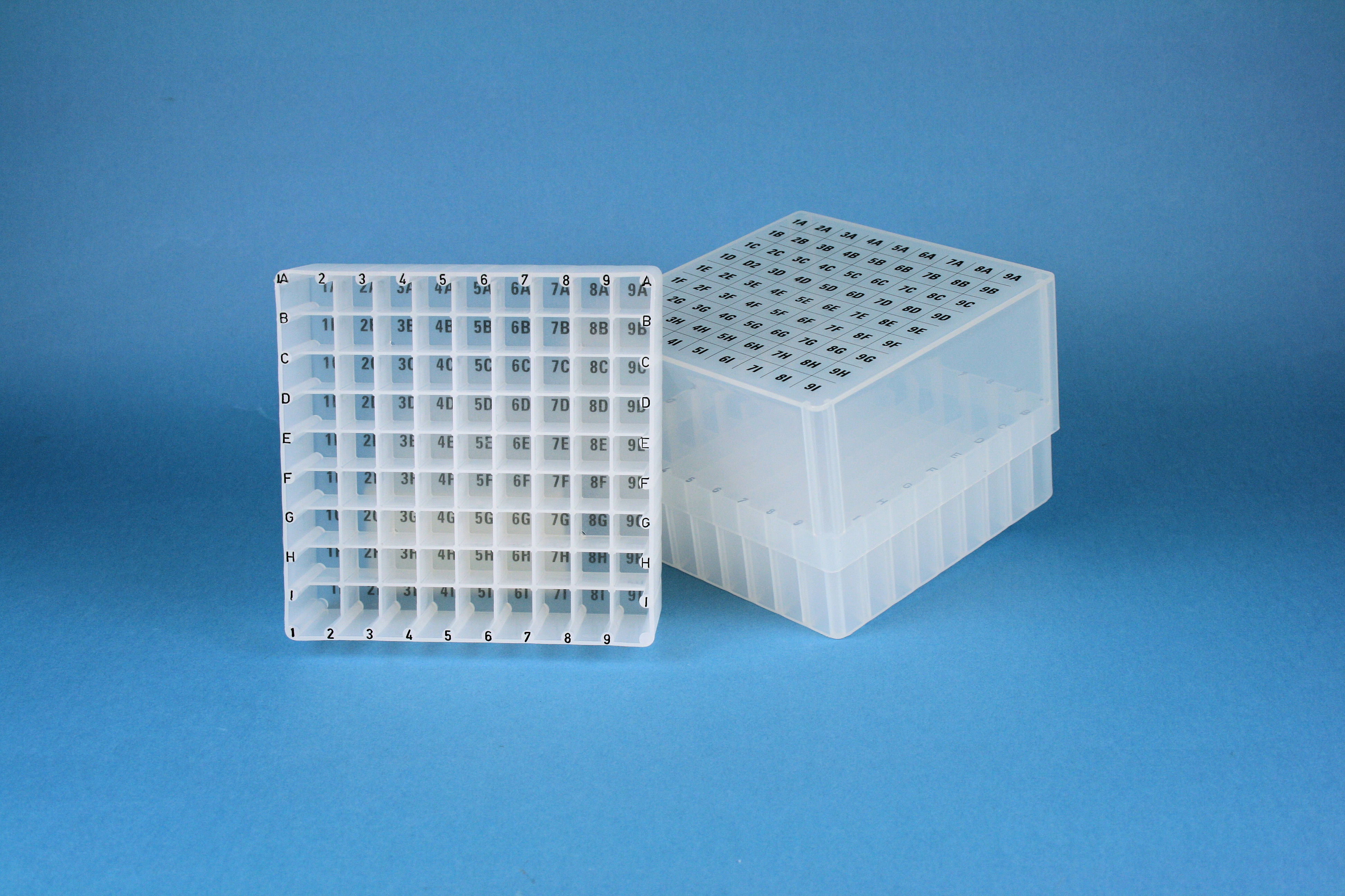 EPPi Box 95, 9x9, natural, 95mm, fast, PP, 12,5mm,