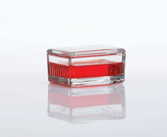 10 Slide Staining Dish, 6 pcs