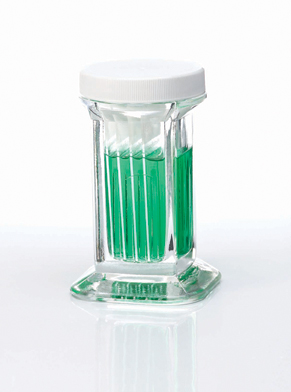 5 Slide Staining Jar With Wht PP Cap, 6 pcs